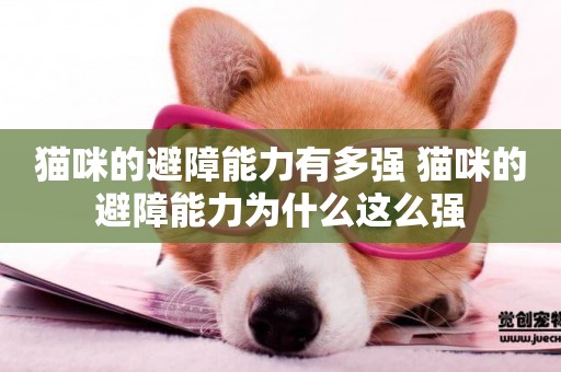 貓咪的避障能力有多強 貓咪的避障能力為什么這么強