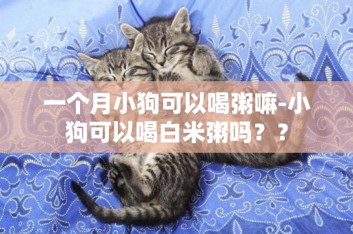 一個月小狗可以喝粥嘛-小狗可以喝白米粥嗎？？