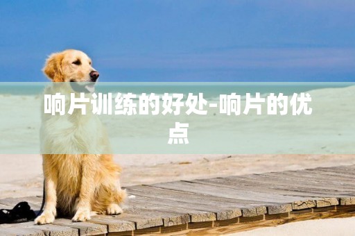 響片訓練的好處-響片的優點