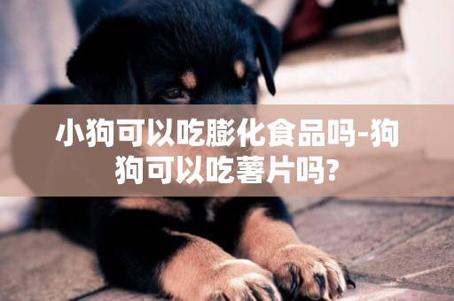 小狗可以吃膨化食品嗎-狗狗可以吃薯片嗎?