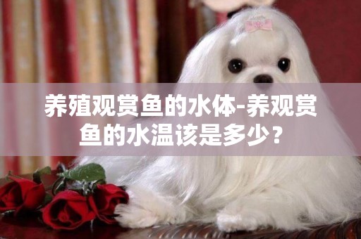 養殖觀賞魚的水體-養觀賞魚的水溫該是多少？