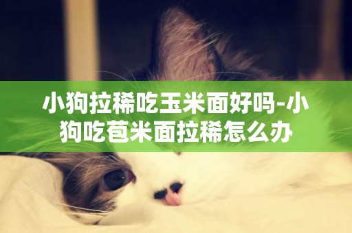 小狗拉稀吃玉米面好嗎-小狗吃苞米面拉稀怎么辦
