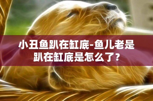 小丑魚趴在缸底-魚兒老是趴在缸底是怎么了？