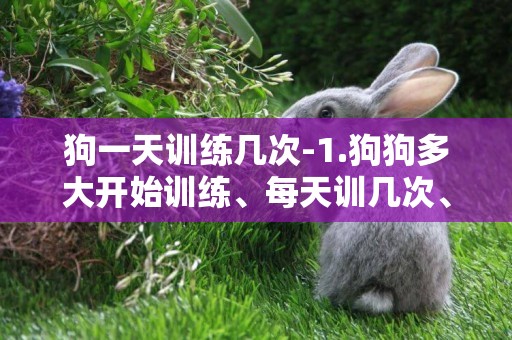 狗一天訓練幾次-1.狗狗多大開始訓練、每天訓幾次、每次訓多久？