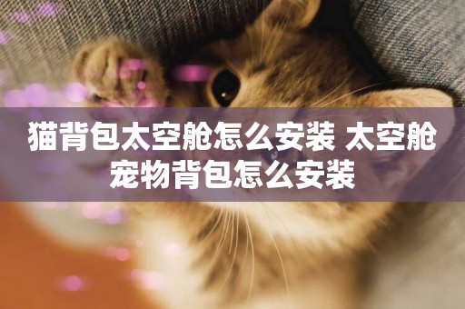 貓背包太空艙怎么安裝 太空艙寵物背包怎么安裝