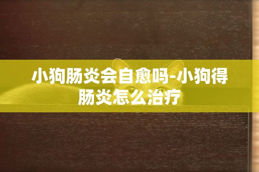 小狗腸炎會自愈嗎-小狗得腸炎怎么治療