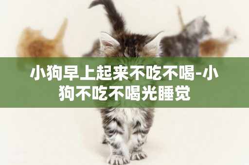 小狗早上起來不吃不喝-小狗不吃不喝光睡覺