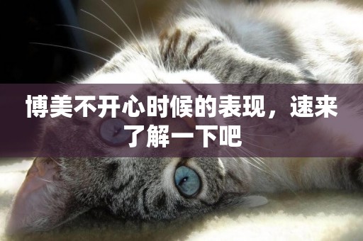 博美不開心時候的表現，速來了解一下吧