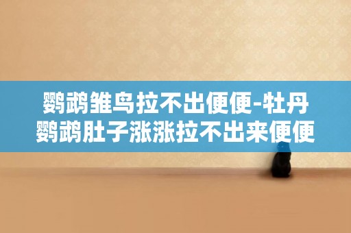 鸚鵡雛鳥拉不出便便-牡丹鸚鵡肚子漲漲拉不出來便便