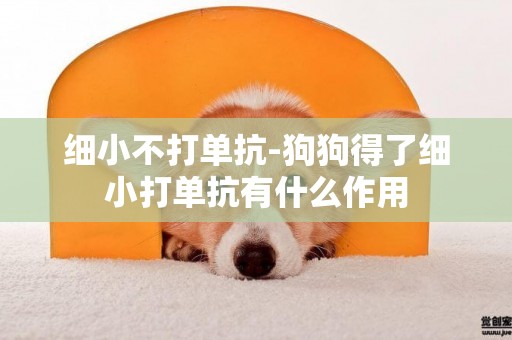 細小不打單抗-狗狗得了細小打單抗有什么作用