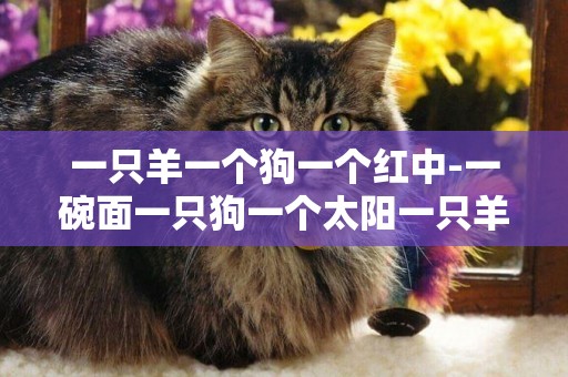 一只羊一個狗一個紅中-一碗面一只狗一個太陽一只羊是什么成語