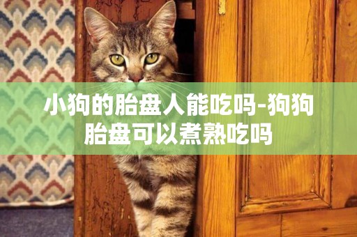 小狗的胎盤人能吃嗎-狗狗胎盤可以煮熟吃嗎