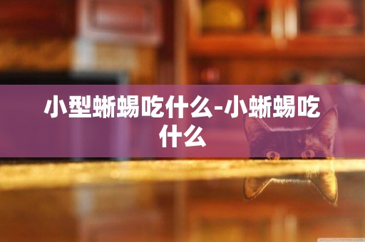 小型蜥蜴吃什么-小蜥蜴吃什么