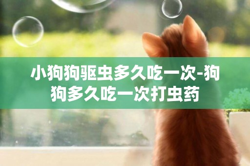 小狗狗驅蟲多久吃一次-狗狗多久吃一次打蟲藥
