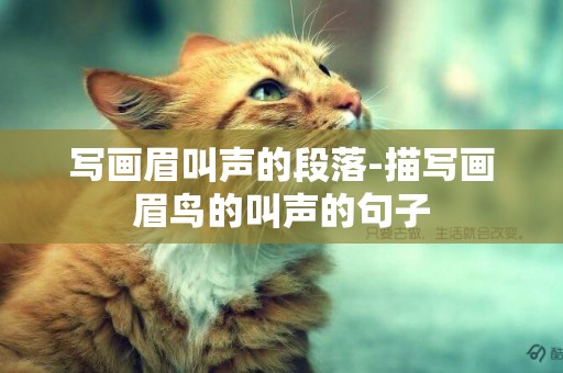 寫畫眉叫聲的段落-描寫畫眉鳥的叫聲的句子