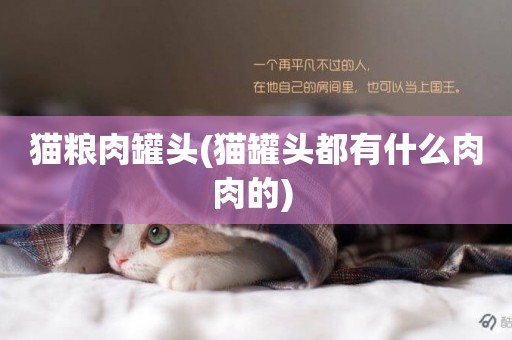 貓糧肉罐頭(貓罐頭都有什么肉肉的) 