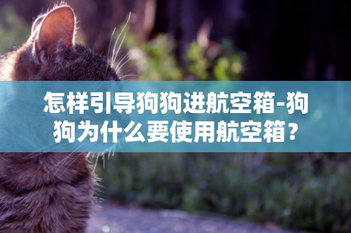 怎樣引導狗狗進航空箱-狗狗為什么要使用航空箱？