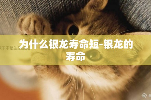 為什么銀龍壽命短-銀龍的壽命