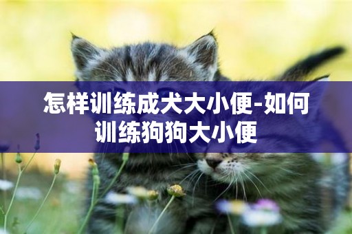 怎樣訓練成犬大小便-如何訓練狗狗大小便