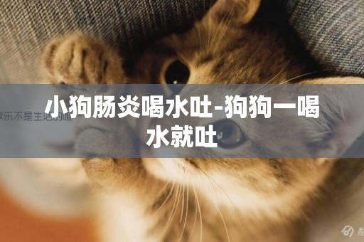 小狗腸炎喝水吐-狗狗一喝水就吐