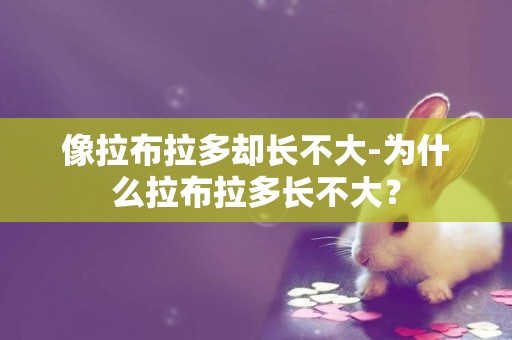 像拉布拉多卻長不大-為什么拉布拉多長不大？