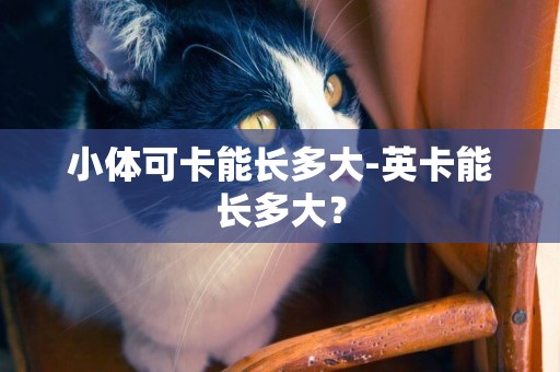 小體可卡能長多大-英卡能長多大？