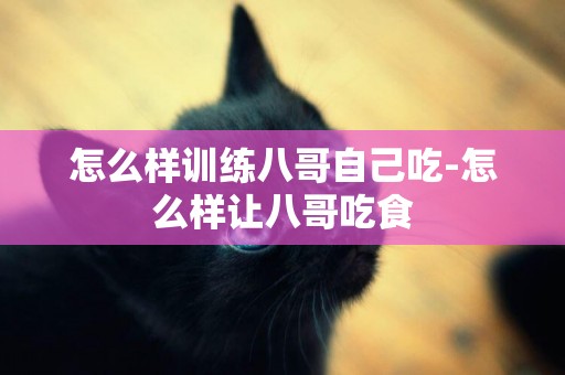 怎么樣訓練八哥自己吃-怎么樣讓八哥吃食