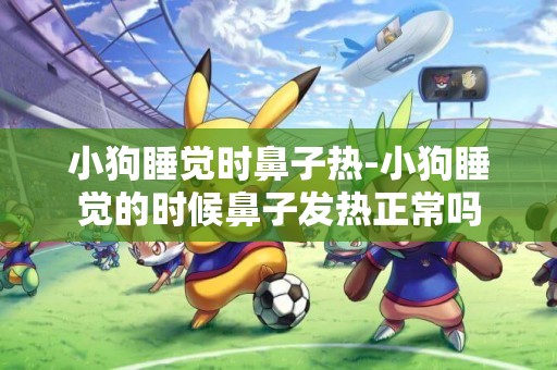 小狗睡覺時鼻子熱-小狗睡覺的時候鼻子發熱正常嗎