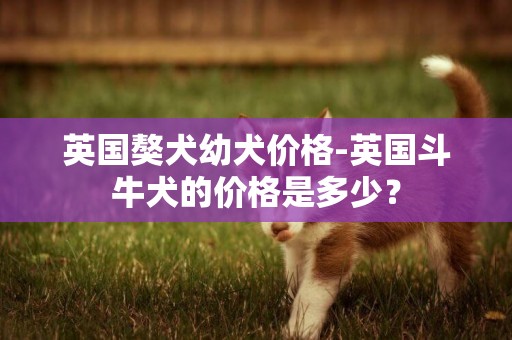 英國獒犬幼犬價格-英國斗牛犬的價格是多少？