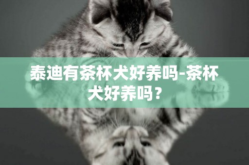 泰迪有茶杯犬好養嗎-茶杯犬好養嗎？