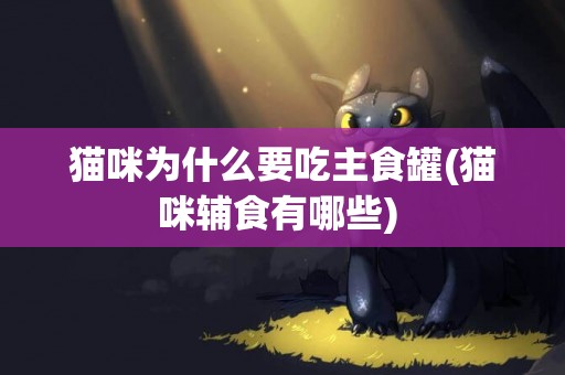 貓咪為什么要吃主食罐(貓咪輔食有哪些) 