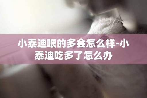 小泰迪喂的多會怎么樣-小泰迪吃多了怎么辦