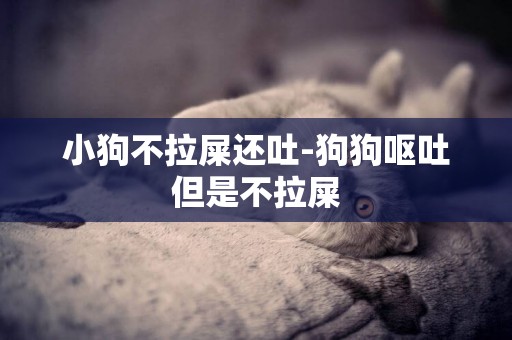 小狗不拉屎還吐-狗狗嘔吐但是不拉屎