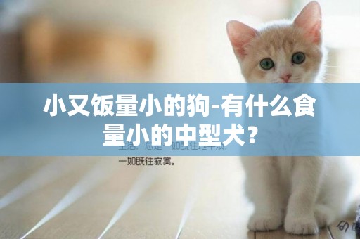 小又飯量小的狗-有什么食量小的中型犬？