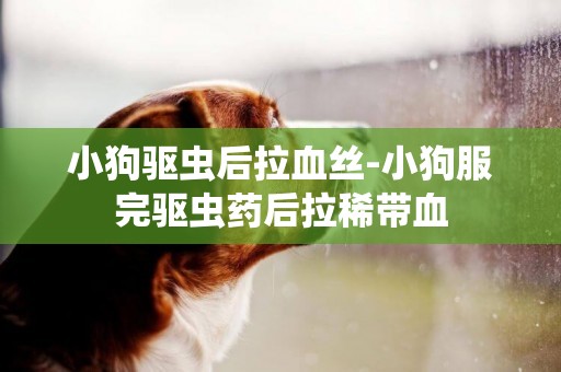 小狗驅蟲后拉血絲-小狗服完驅蟲藥后拉稀帶血