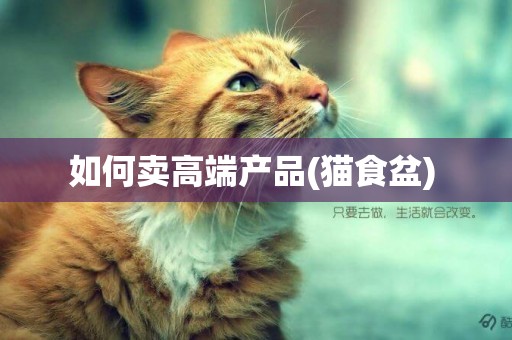 如何賣高端產品(貓食盆) 
