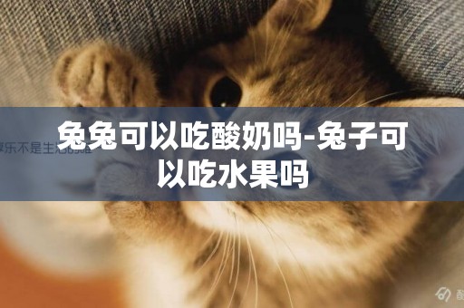 兔兔可以吃酸奶嗎-兔子可以吃水果嗎