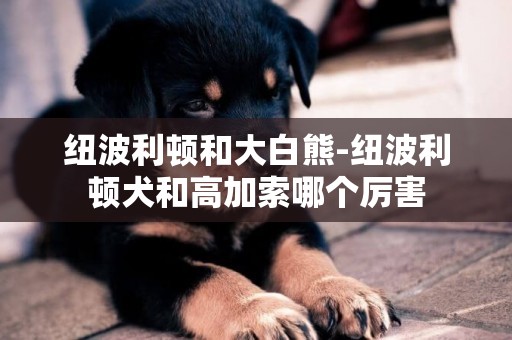 紐波利頓和大白熊-紐波利頓犬和高加索哪個厲害