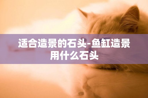 適合造景的石頭-魚缸造景用什么石頭