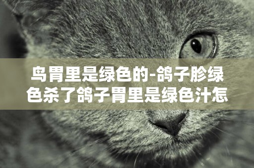 鳥胃里是綠色的-鴿子胗綠色殺了鴿子胃里是綠色汁怎么回事