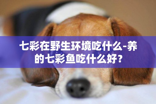 七彩在野生環境吃什么-養的七彩魚吃什么好？