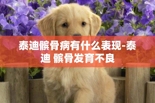 泰迪髕骨病有什么表現-泰迪 髕骨發育不良
