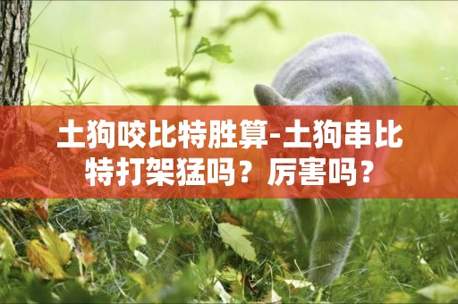 土狗咬比特勝算-土狗串比特打架猛嗎？厲害嗎？