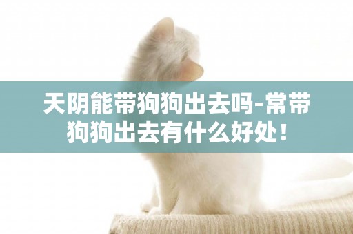 天陰能帶狗狗出去嗎-常帶狗狗出去有什么好處！