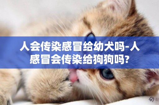 人會傳染感冒給幼犬嗎-人感冒會傳染給狗狗嗎?