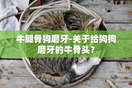 牛腿骨狗磨牙-關于給狗狗磨牙的牛骨頭？