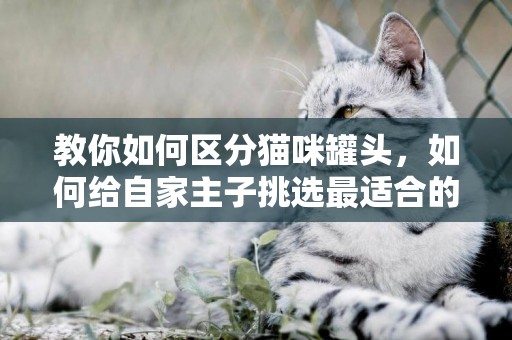 教你如何區分貓咪罐頭，如何給自家主子挑選最適合的罐頭 