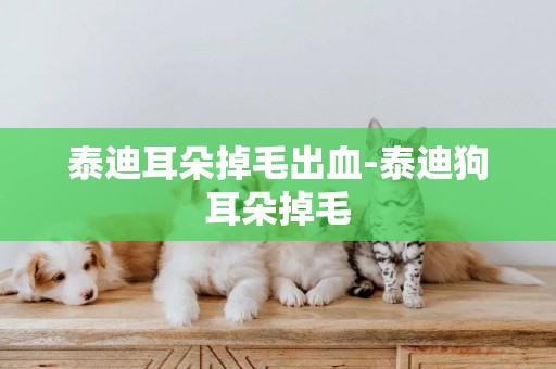 泰迪耳朵掉毛出血-泰迪狗耳朵掉毛
