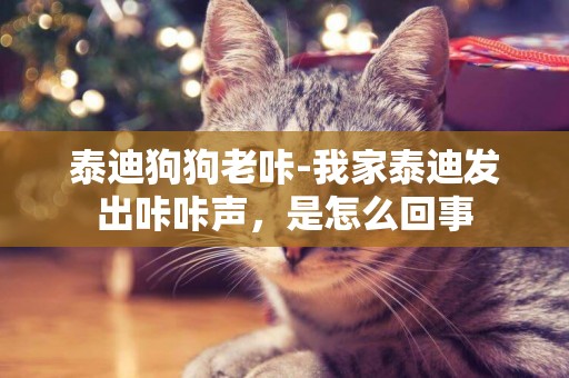泰迪狗狗老咔-我家泰迪發出咔咔聲，是怎么回事