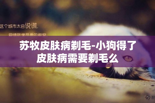 蘇牧皮膚病剃毛-小狗得了皮膚病需要剃毛么